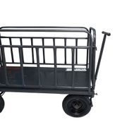 carro-plataforma-metalico-com-aba-e-capacidade-de-800-kg-17341_2